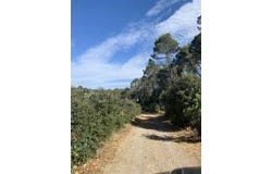 Pontevès, Provence-Alpes-Côte-d'Azur 83670