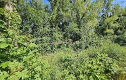 cepoy, Centre-Val de Loire 45120