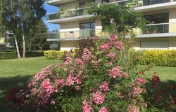Chantilly, Oise 60500