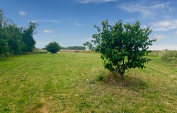 Aviron, Upper Normandy 27930