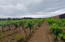 Siran, Languedoc-Roussillon 34210