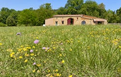 Lalinde, Aquitaine 24150