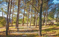 La Livinière, Occitanie 34210