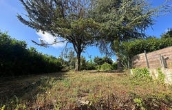 Niort, Poitou-Charentes 79000