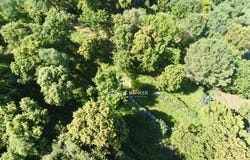 Monticello, Corsica 20220