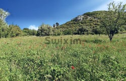 Saint-Bonnet-du-Gard, Occitanie 30210