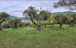 Manosque, Provence-Alpes-Côte d'Azur 04100