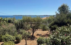 Sainte-Maxime, Provence-Alpes-Côte d'Azur 83120