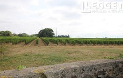 Orée d'Anjou, Pays de la Loire 49270