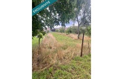 Arracourt, Lorraine 54370