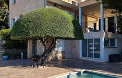 Le Lavandou, Provence-Alpes-Côte d'Azur 83980