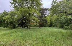 Gujan-Mestras, Gironde 33470