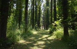 Saint-Antonin-Noble-Val, Tarn-et-Garonne 82140