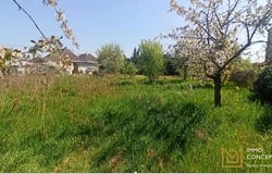 Wintzenheim, Haut-Rhin 68920