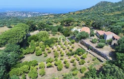 Lumio, Corsica 20260