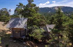 Caille, Alpes-Maritimes 06750