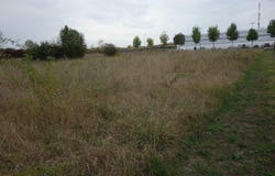 Blaye, Aquitaine 33390