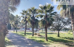 Calvisson, Gard 30420
