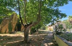 Bormes-les-Mimosas, Provence-Alpes-Côte d'Azur 83230