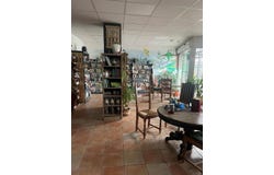 Chancelade, Nouvelle-Aquitaine 24650