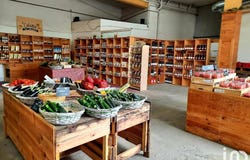 PRADES, Occitanie 66500