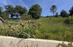 Ronchamp, Franche-Comté 70250