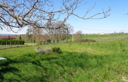 Gaillac, Midi-Pyrénées 81600