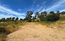 Moncale, Corse 20214