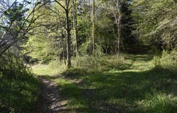 Ventenac, Midi-Pyrénées 09120