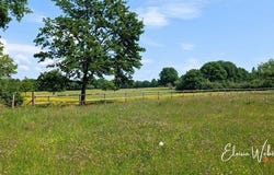 Jarze Villages, Pays de la Loire 49140