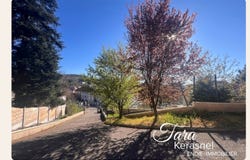 LA RICAMARIE, Auvergne-Rhône-Alpes 42150