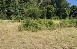 Floing, Grand Est 08200