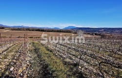 Tulette, Rhône-Alpes 26790