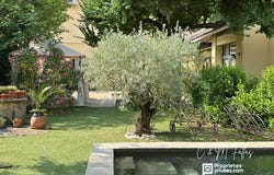Vaison-la-Romaine, Provence-Alpes-Côte d'Azur 84110