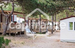 TOURTOIRAC, Aquitaine 24390
