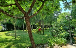 Rouilly, Ile-de-France 77160