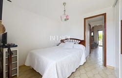 Saint-Cyprien, Pyrénées-Orientales 66750