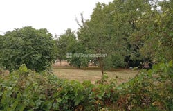Amberre, Vienne 86110
