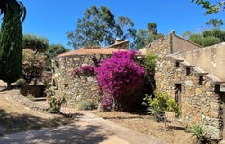 Saint-Florent, Corsica 20217