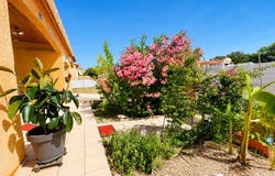 Brouilla, Languedoc-Roussillon 66620