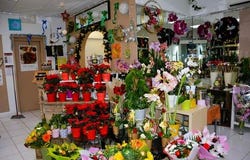 Sotteville-Les-Rouen, Haute-Normandie 76300