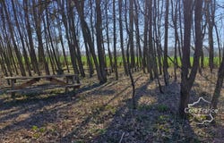 La Flamengrie, Picardie 02260