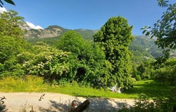 OZ, Auvergne-Rhône-Alpes 38114
