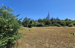Draguignan, Provence-Alpes-Côte-d'Azur 83300