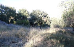 Uchaud, Gard 30620