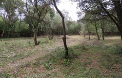 Uzès, Languedoc-Roussillon 30700