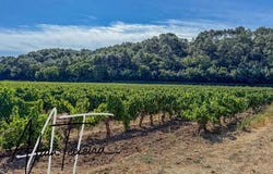 Le Thoronet, Provence-Alpes-Côte d'Azur 83340