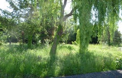 Savigneux, Loire 42600