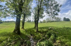 Besse-et-Saint-Anastaise, Auvergne 63610