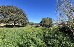 Santa-Reparata-Di-Balagna, Corse 20220